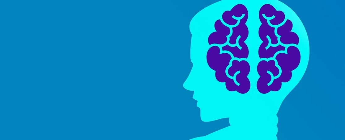 Developing brain