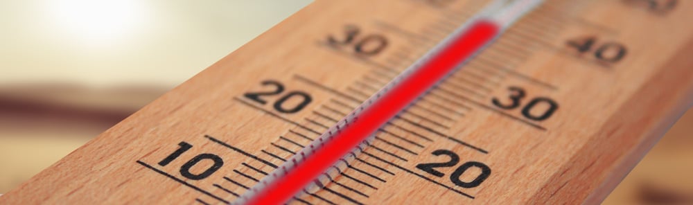 childhood development