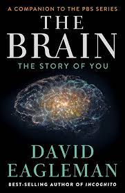 story of your brain book