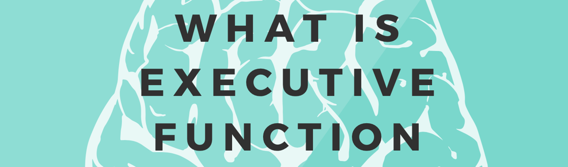 what is executive function cover